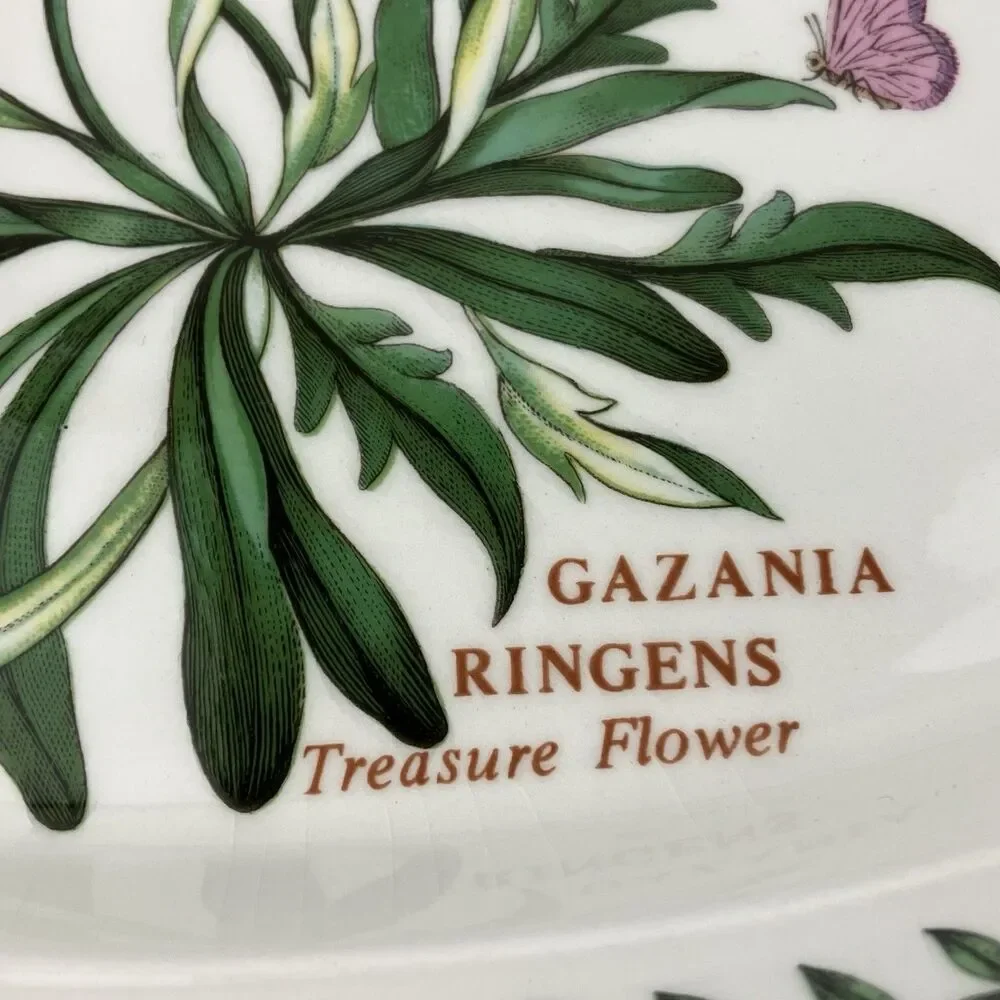 Vintage Portmeirion Botanic Garden Porcelain Oval Platter Bowl Flower